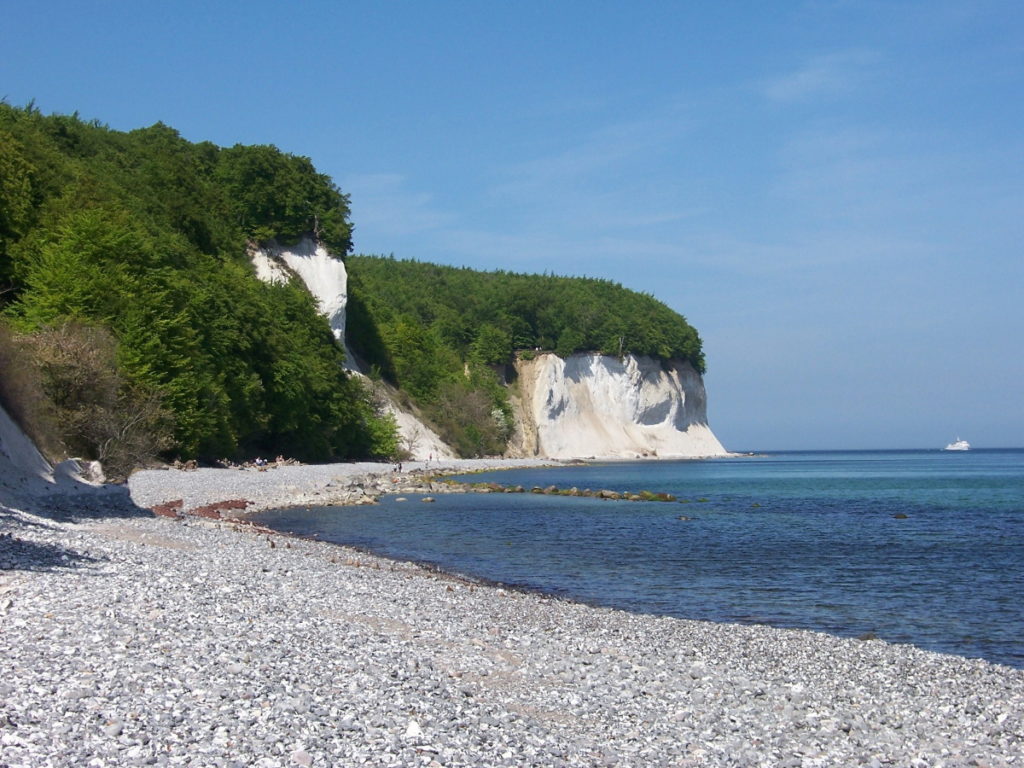 Fischarten auf Rügen